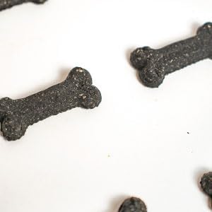 Activa 2lb Charcoal Gourmet Dog Biscuits | Crunchy Dog Treats | Charcoal Flavor Treats