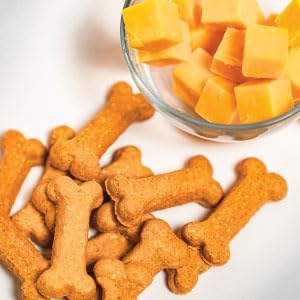 Activa 2lb Cheddar Cheese Gourmet Dog Biscuits | Crunchy Dog Treats | (Medium, Cheddar Cheese)