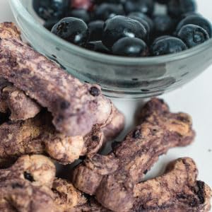 Activa 2lb Blueberry Gourmet Dog Biscuits | Crunchy Dog Treats | (Medium, Blueberry)