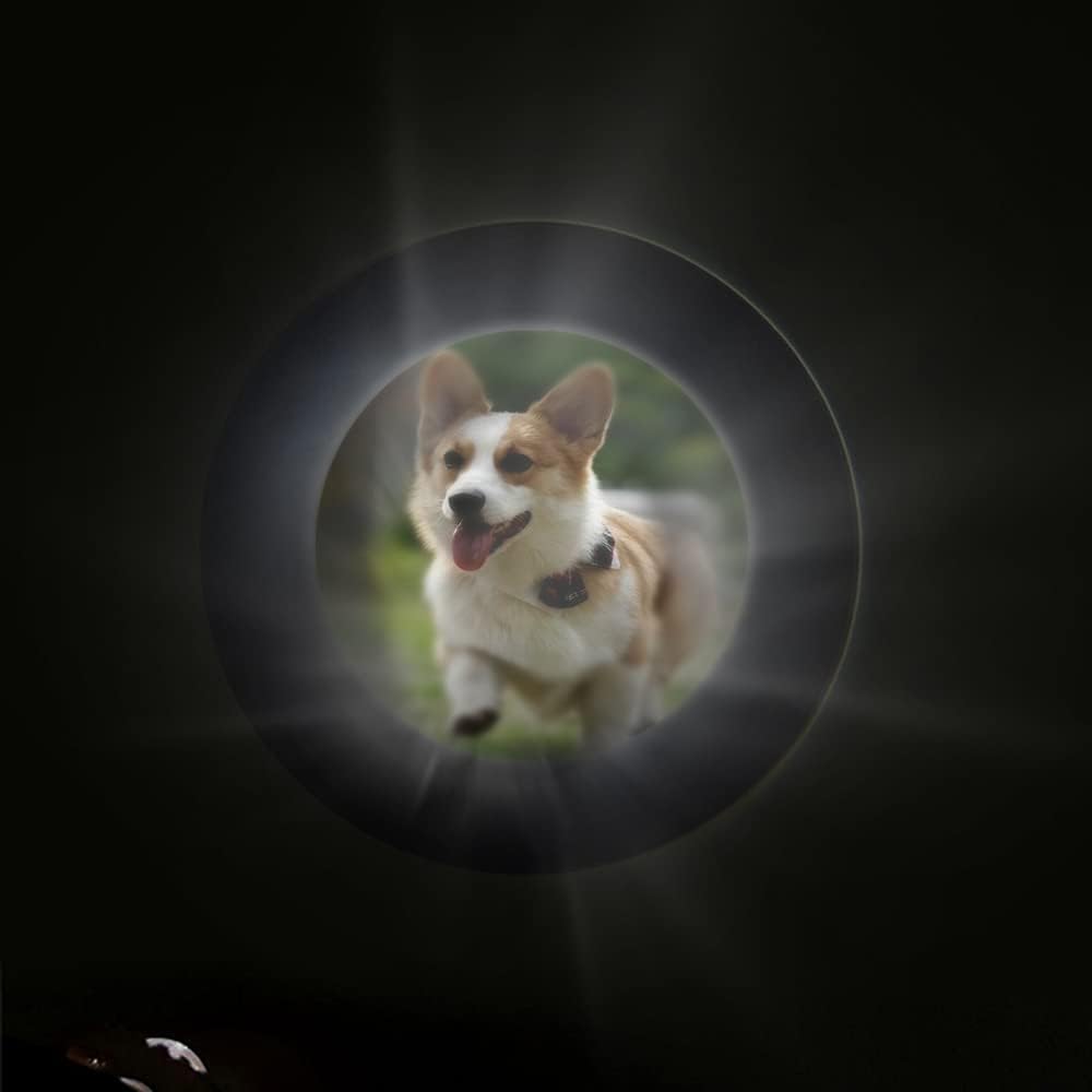 Custom Dog Paw Print Photo Projection Necklace 925 Sterling Silver Personalized Dog Photo Necklace Pet Picture Pendant Memorial Jewelry Loss of Pet Gifts for Women Someone Who Lost Dog