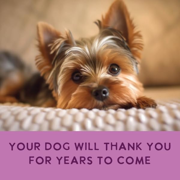 Health Extension Gently Cooked Lamb & Carrot Dog Food, Human-Grade & Shelf-Stable with Superfoods, Supports Digestion, Immunity, Skin & Coat, 3 oz Pouch (Pack of 20)