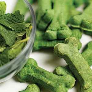Activa 2lb Mint Gourmet Dog Biscuits | Crunchy Dog Treats | (Medium, Mint & Parsley)