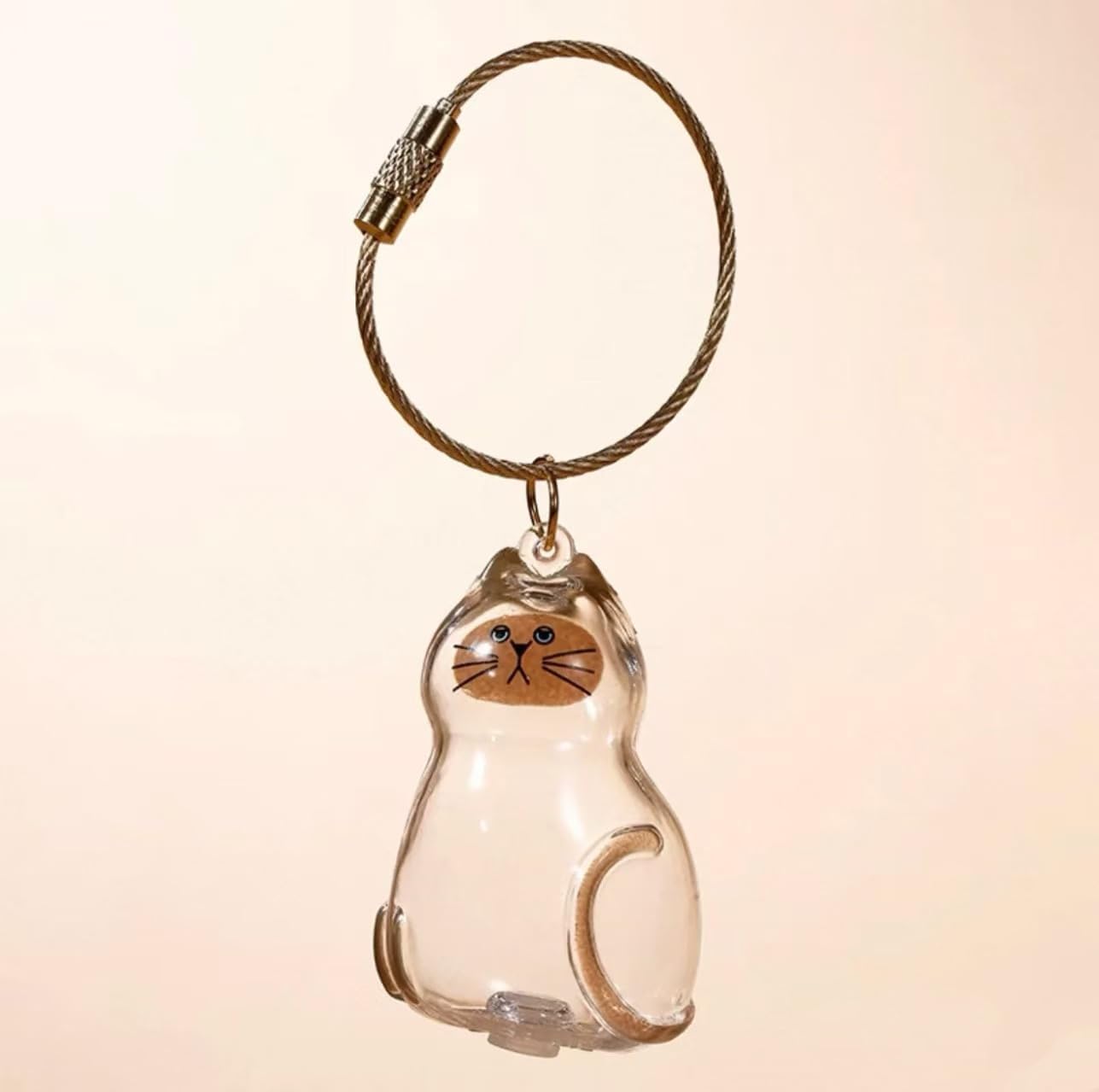6 Pcs Cat Hair Keychain Keepsake - Clear Acrylic Fur Memorial Capsule for Pet Hair Preservation