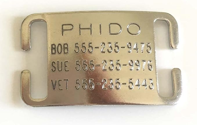 Boomerang Tags Dog Tag - Lasts Your Pets Lifetime - Personalized Dog Tags, Engraved Dog Tag, No Jingle Durable Curved Stainless Steel, Custom Dog Tags (Open End Small for 5/8 Inch Snap Style Collar)