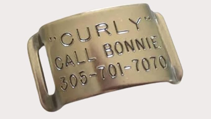 Boomerang Tags Cat Name Tag - Dog Tags for Small Dogs, Cat Name Tags Personalized, Slide-on for Thick Collars (Closed End X-Small for 3/8 Inch Wide, Thick Nylon or Leather Collars with Belt Buckle)