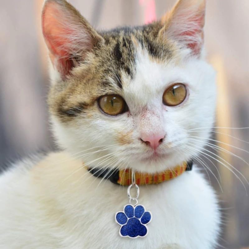 Cute Personalized Pet Name Tags for Cats/Dogs - Glitter Custom pet id tag, Dog id Tags Engraved for Pets, Customizable cat tag, pet Collar Charms, Dog Name tag (Paw-Shaped-Small: Blue)