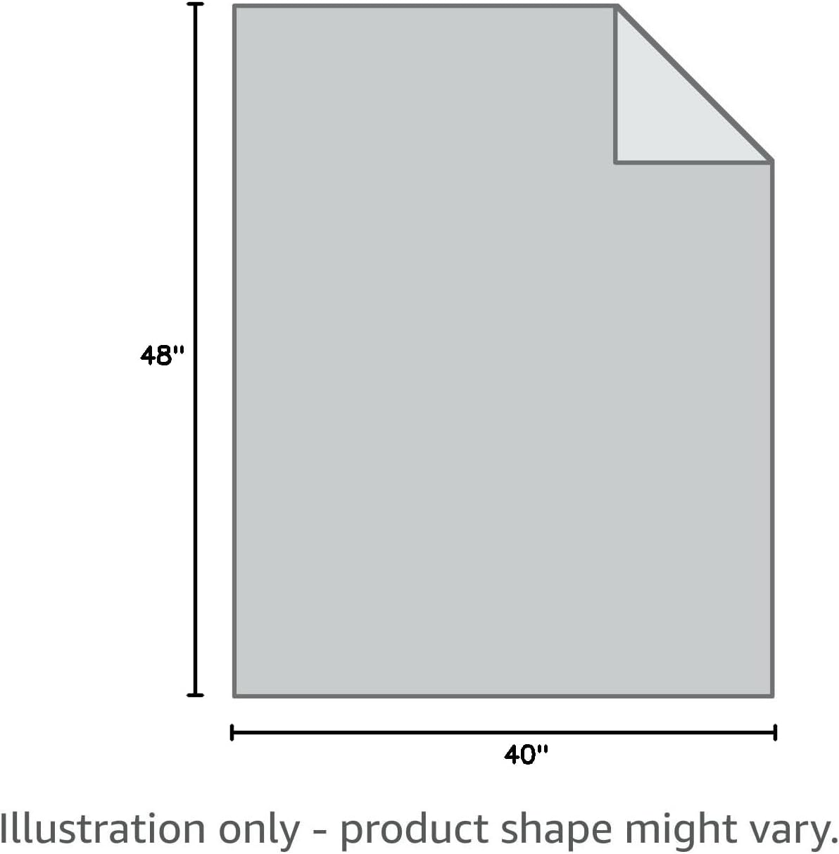 Fuzzy Blanket or Fluffy Blanket for Baby Girl or boy, Soft Warm Cozy Coral Fleece Toddler, Infant or Newborn Receiving Blanket for Crib, Stroller, Travel, Outdoor (40" x 48", DG-Coral Red)