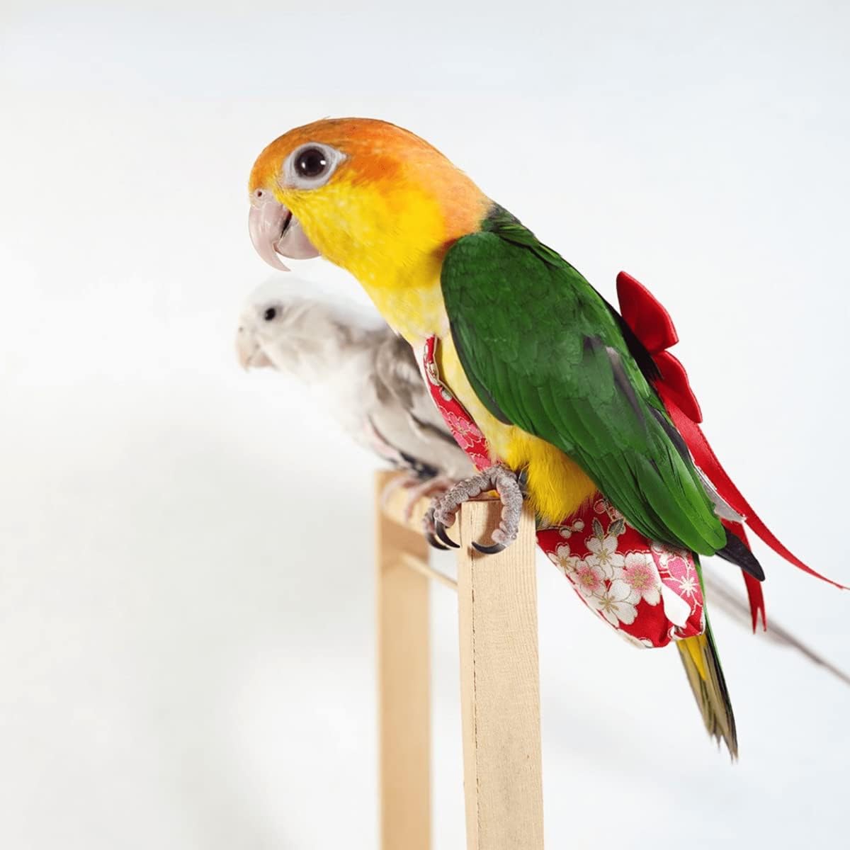 Bird & Parrot Diapers - Flight Suit Liners for Monk Parakeets, Cockatiels (Small, Purple)