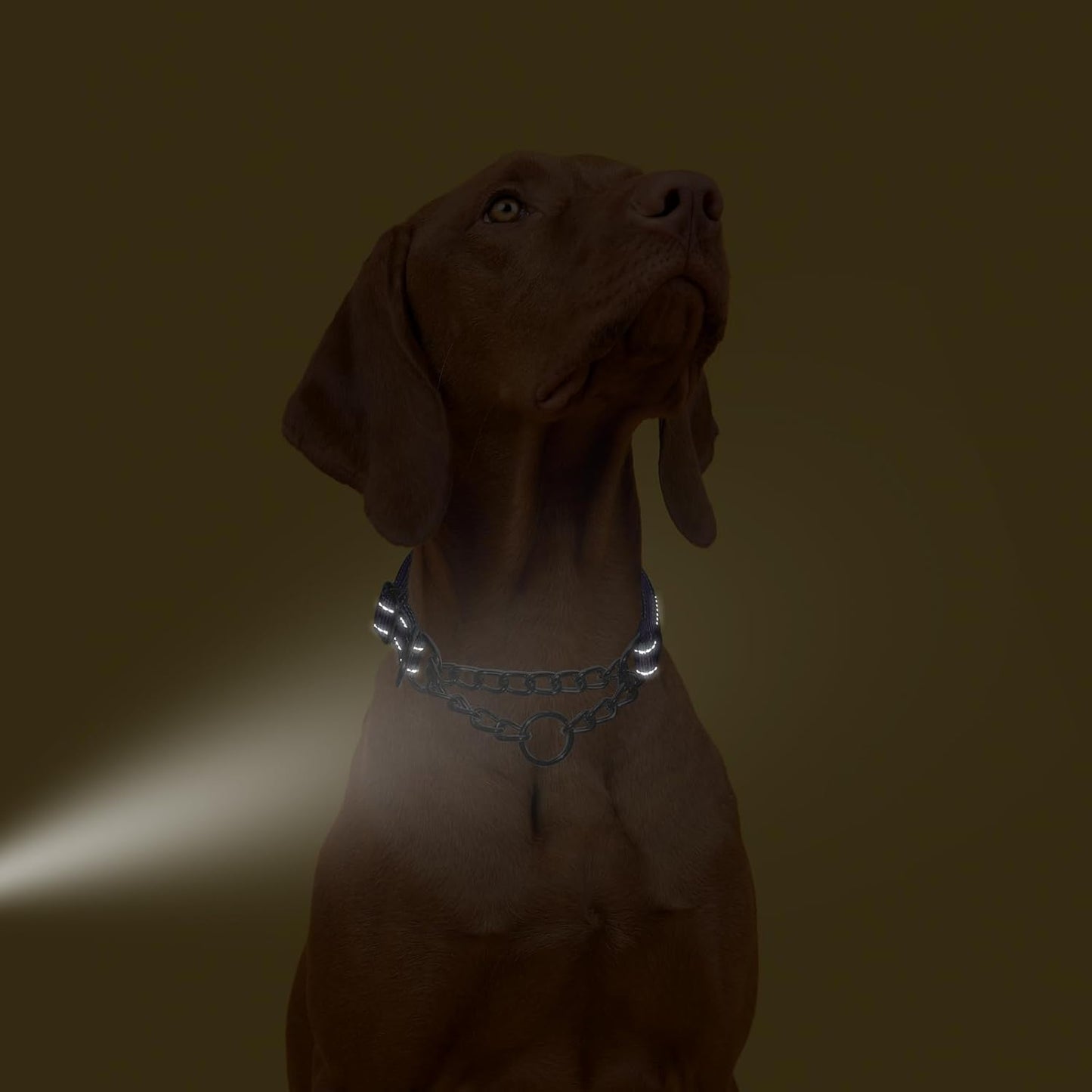 Martingale Collar with Chain,Stainless Steel Chain for Dogs, No Pull Slip Cinch Choker Choke Collar Training Heavy Duty Dog Collar for Small Medium Large Pet Boy Male Dog