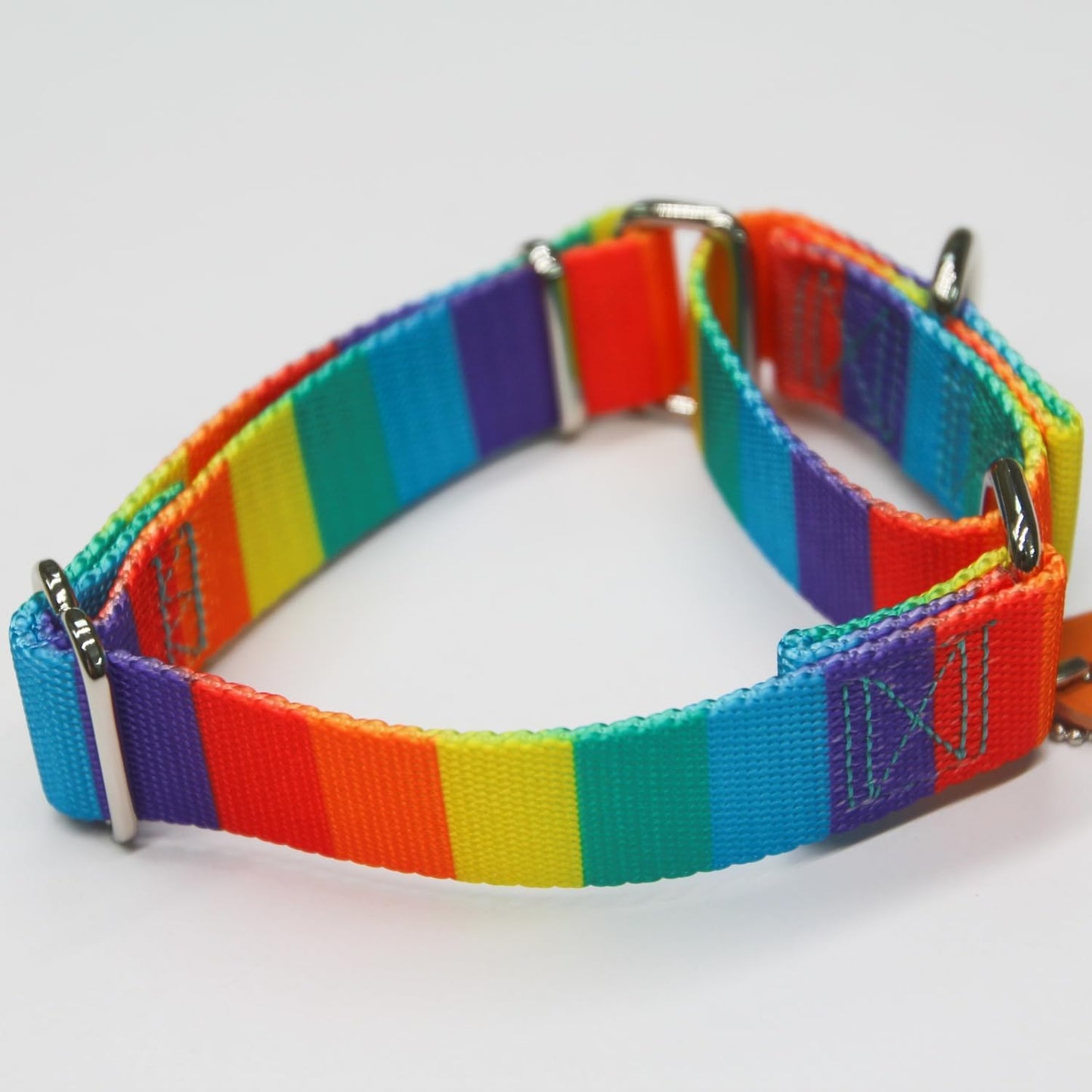 Martingale Dog Collar Colorful Gradient Fashionable - Anti-Escape Soft Durable Pets Collar for Walking Training Outdoor Daily Use -Large, Sunny Rainbow
