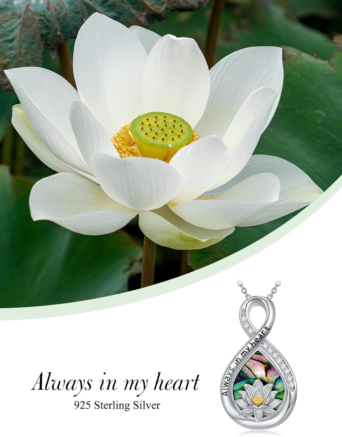 WINNICACA Urn Necklace for Ashes Sterling Silver Abalone Shell Cremation Jewelry for Ashes Jewelry Gifts for Nature Lovers Keepsake Memorial Jewelry for Women