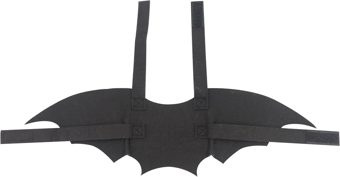 Pet Cat Bat Wings for Halloween Party Decoration, Dog Cosplay Bat Costume,Puppy and Cat Dress Up Accessories (White Ghost, Small)