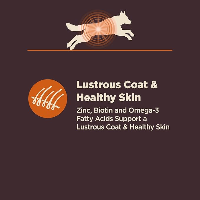 Wellness CORE Digestive Health Dry Dog Food, Wholesome Grains, Natural, Recipe for Dogs with Sensitive Stomachs, Chicken, (24-Pound Bag)