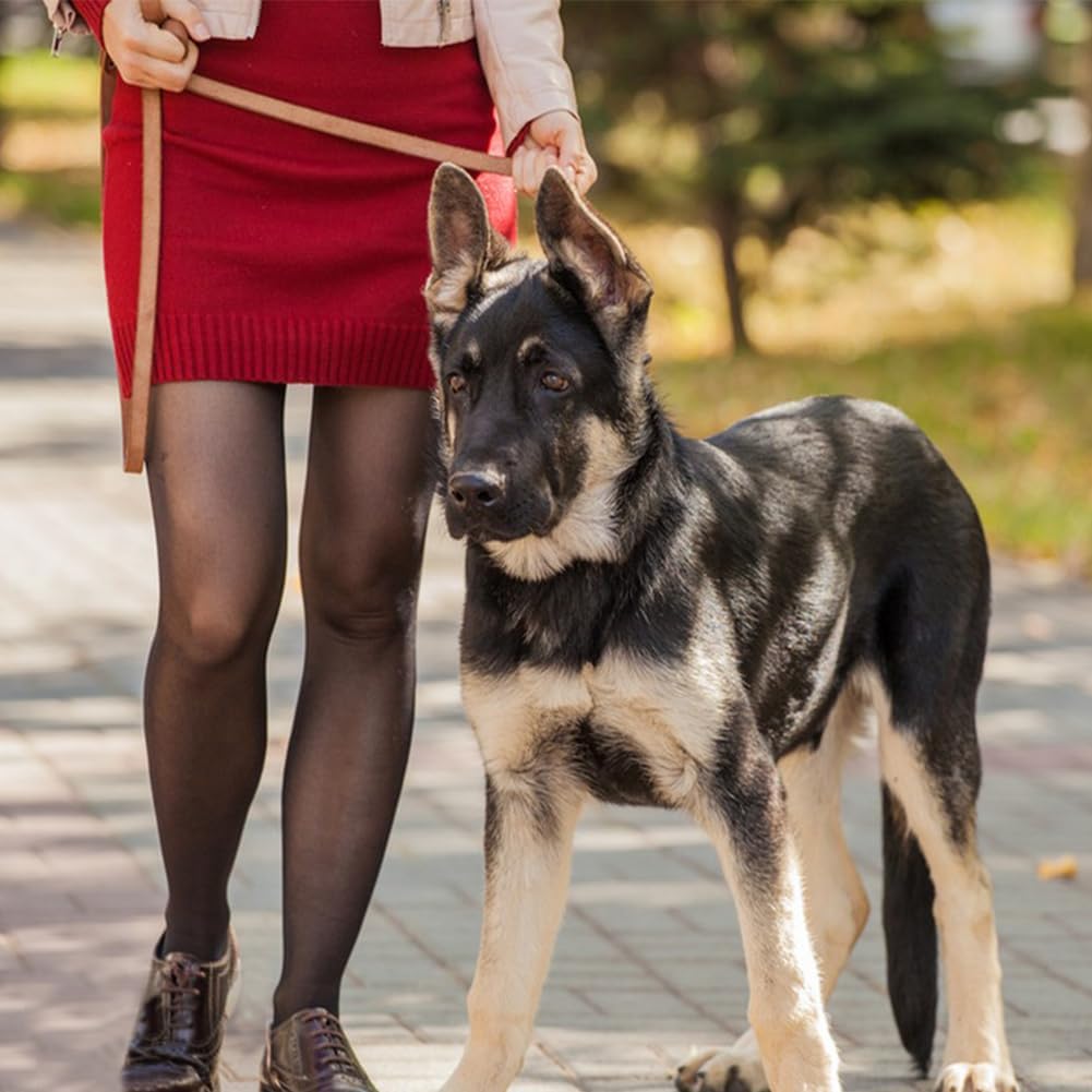 LWBMG Leather Dog Leash - 4ft x 1/2 inch Heavy Duty, Braided, Comfortable for Medium & Small Dogs - Tan