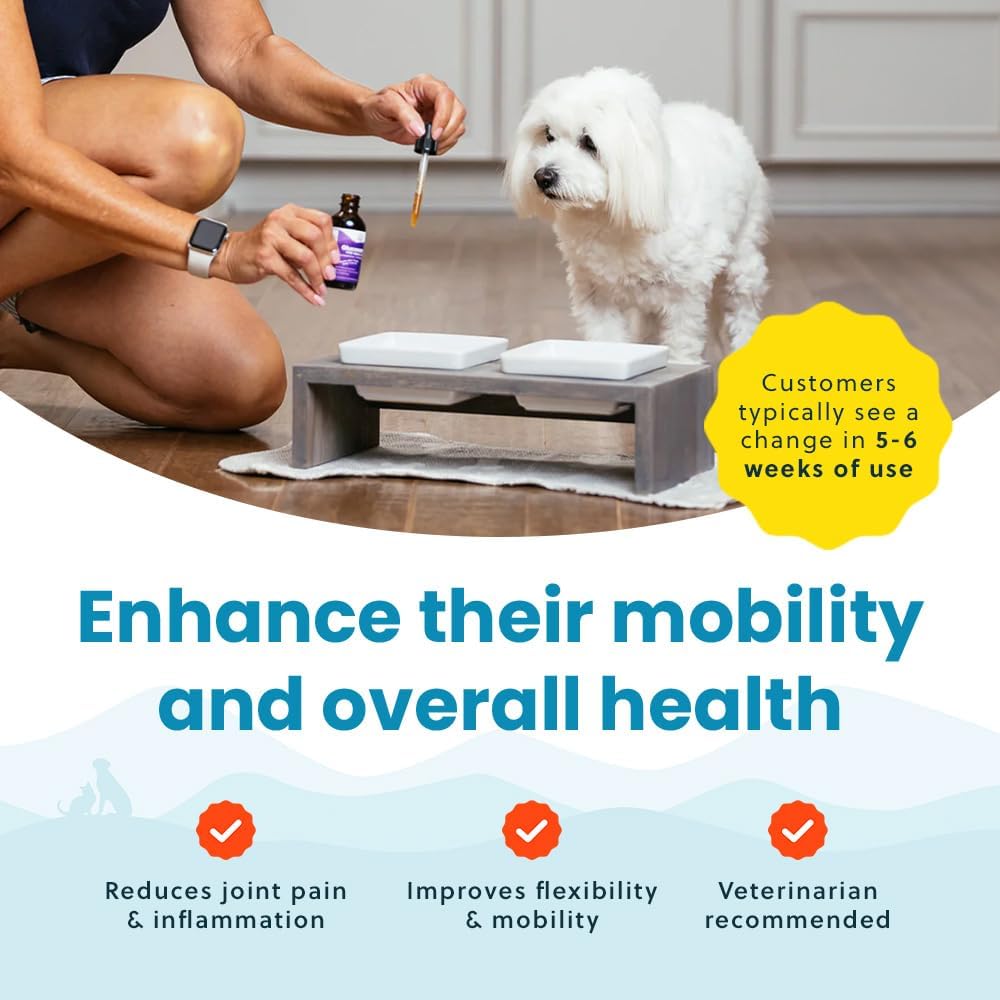 Paramount Pet Health Liquid Glucosamine for Small Dogs, 260mg Glucosamine Liquid for Dogs Joint Supplement for Mobility & Comfort, Easy-to-Use Liquid MSM & Chondroitin, 2 oz