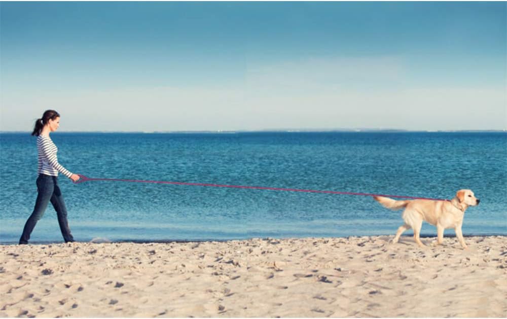 Long Dog Leash Waterproof Recall Training Lead Outdoor Long Line Great for Training, Beach, Play, Camping, or Backyard