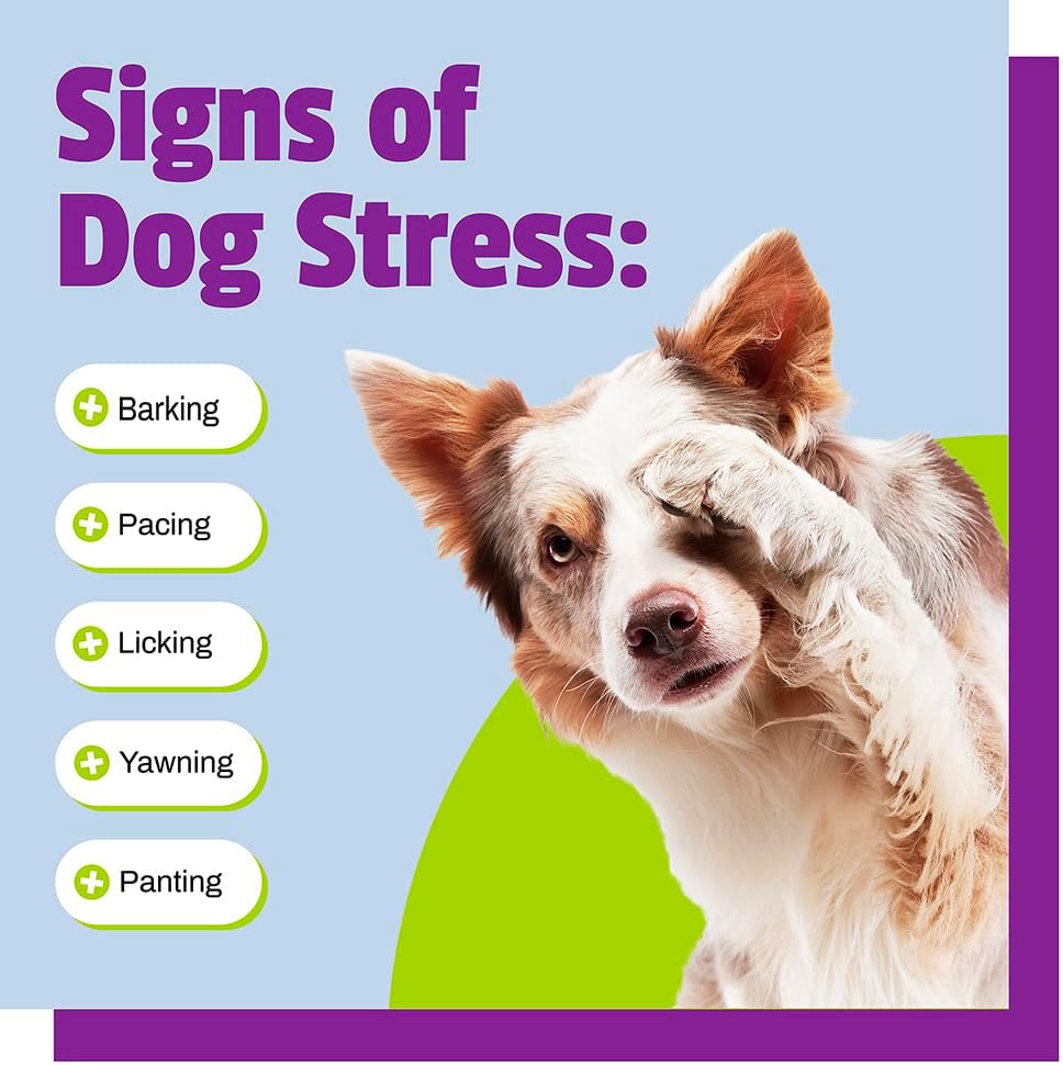 Pet Naturals Calming for Dogs, 30 Chews - Naturally Sourced Stress and Anxiety Calming Ingredients for Behavior Support - Vet Recommended