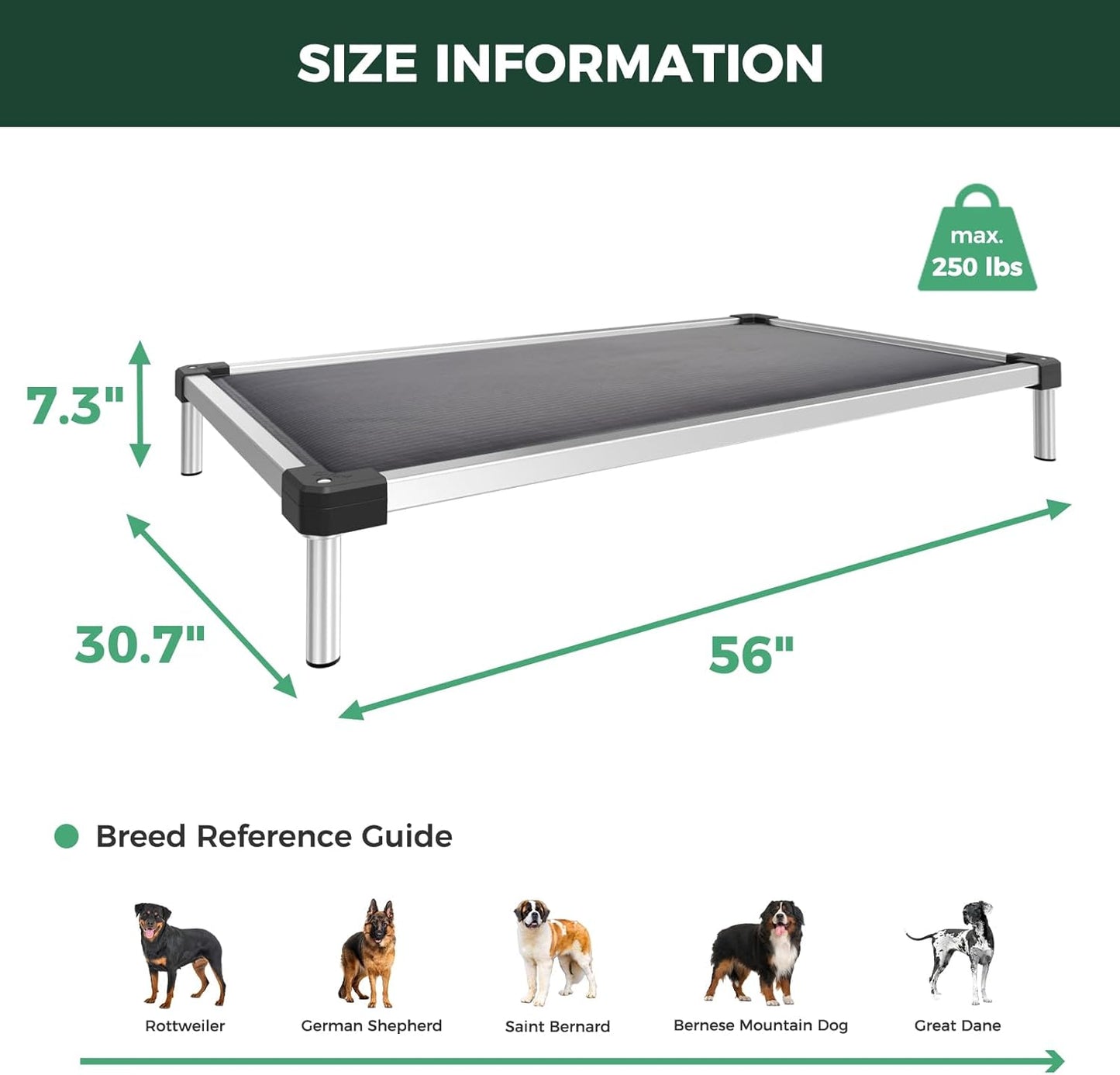FXW TitanNest Chew-Proof Elevated Dog Bed, Raised Cot for Indoor/Outdoor/Camping Use, Durable & Washable Padded Pet Bed for Extra-Large Dogs, 56.0" L x 31.0" W x 7.3" H, Gray