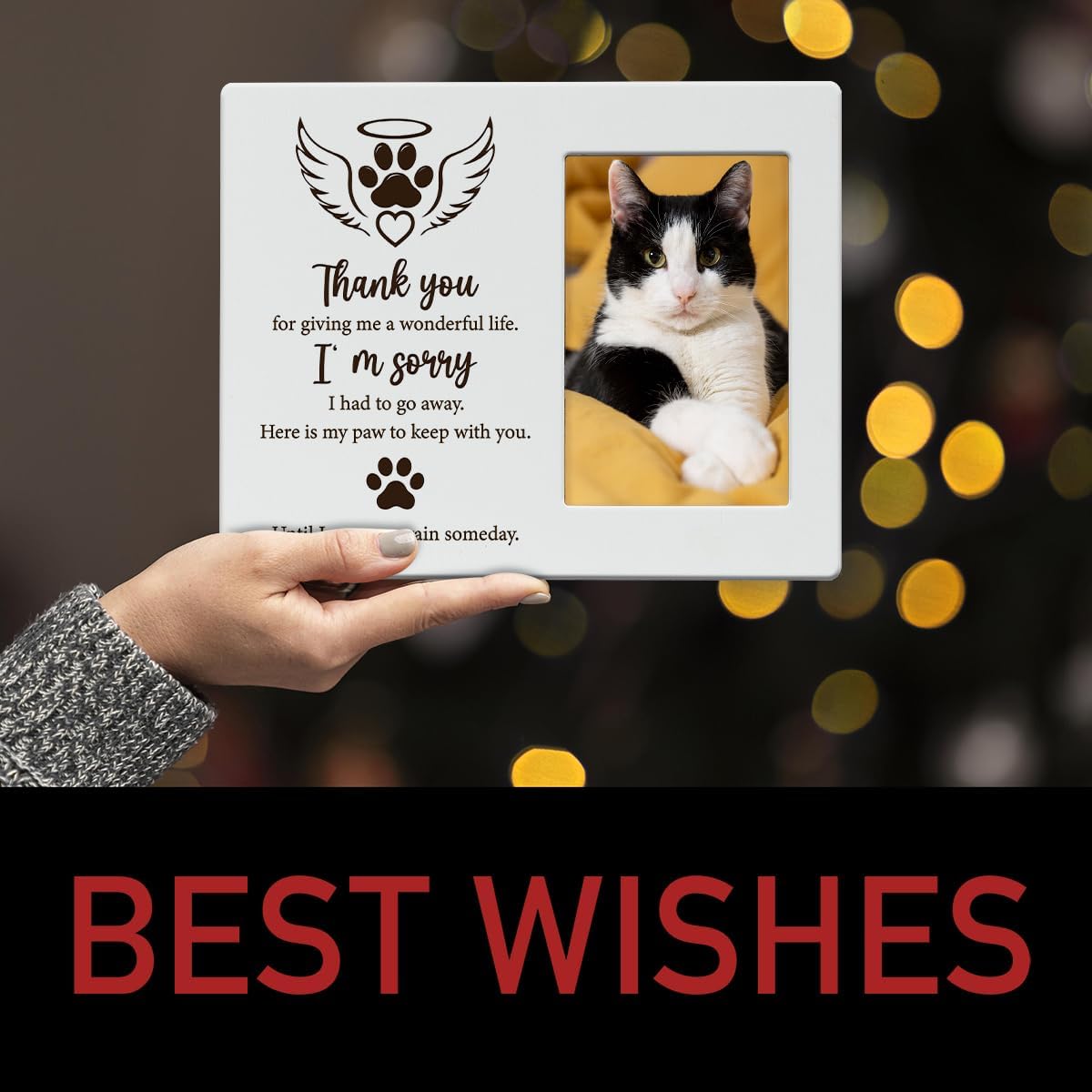 IAXIC Pet Cat Memorial Gifts for Loss of Cat Sympathy Gift Memorial Picture Frame, Pet Memory Picture Frame, Cat Frames For Pictures Memorial