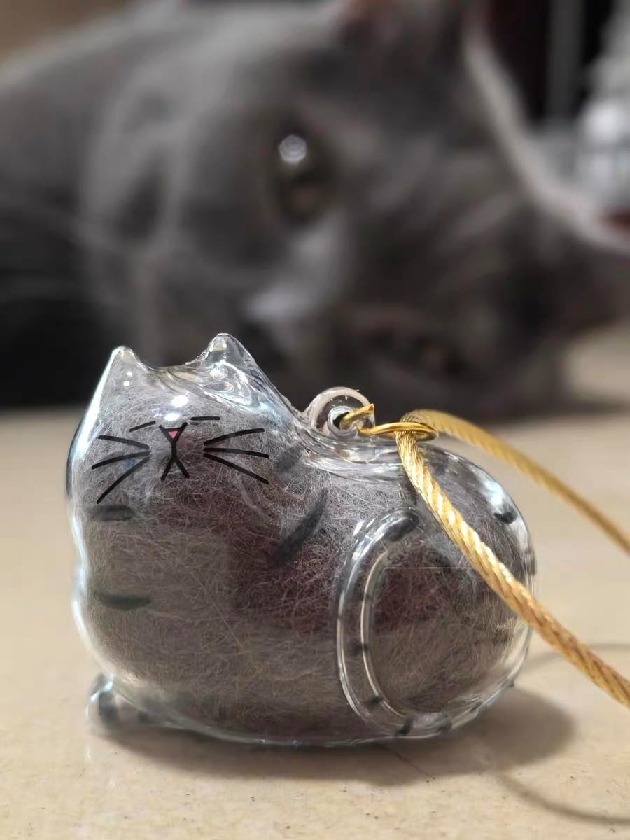 6 Pack Cat Hair Storage Keychain - Transparent Cat Fur Keepsake Capsule Pendant Keychain, Pet Hair Storage Bottle Container, Pet Lover Collecting Gift