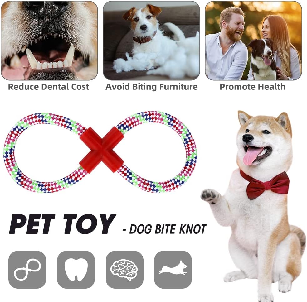 Dog Stairs&Steps for High Beds Up to 28'', 5-Step Dog Ramp for Small Medium Dogs with Washable Cover, Pet Steps for Cats to Get on Couch and Sofa, Durable Foam Ladders, 24.4" Tall, Blue