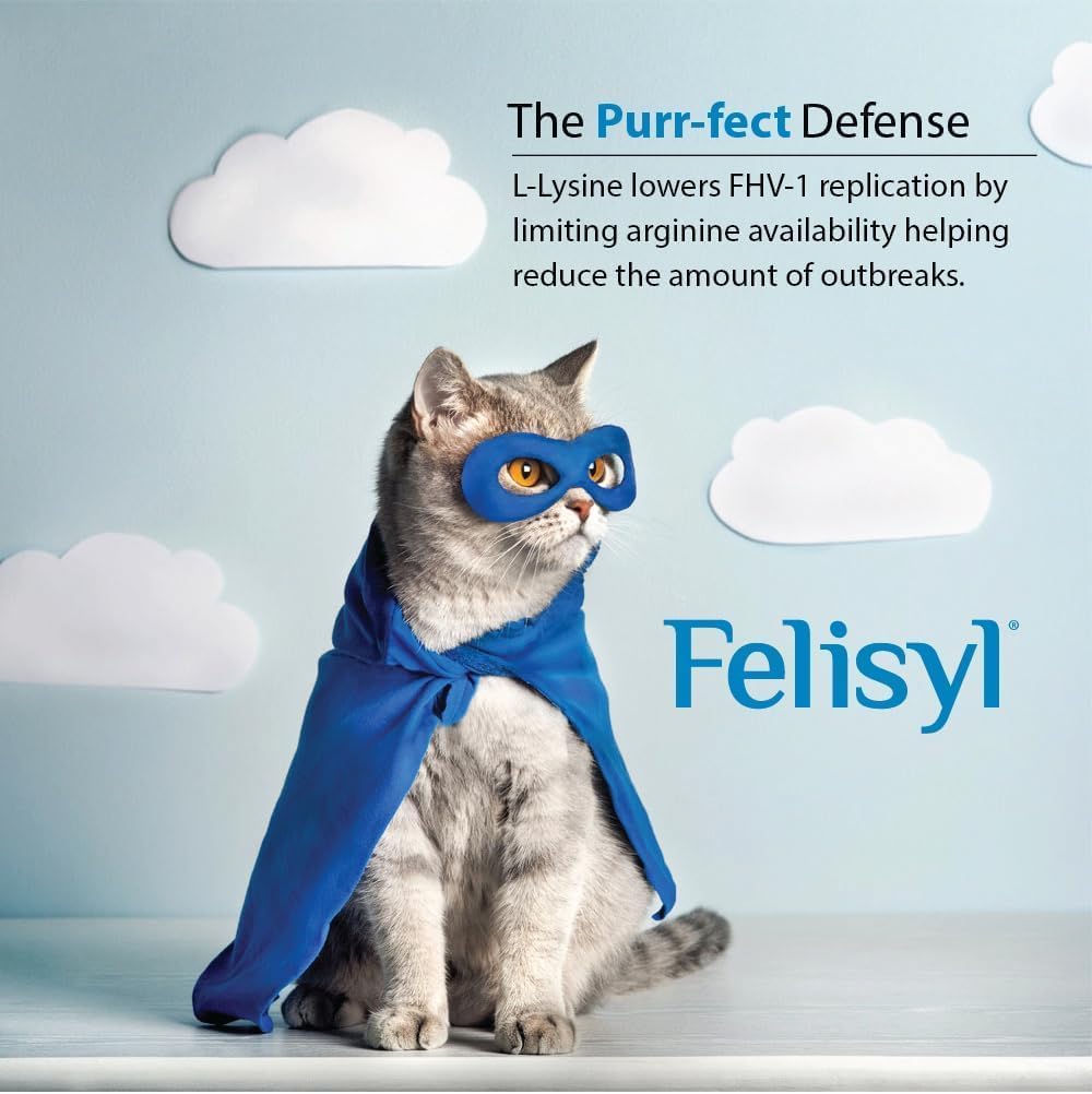 L-Lysine Gel for Cats (5oz) – Supports Immune, Respiratory, and Eye Health. Eases Sneezing, Runny Nose, and Watery Eyes. Tasty Salmon Flavor - Made in The USA (6 Pack)