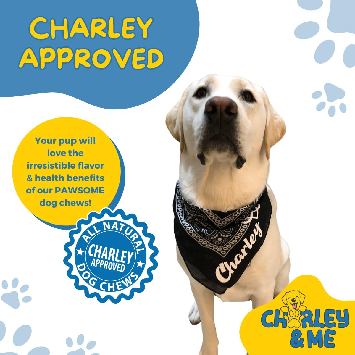 CHARLEY & ME Premium Collagen Sticks for Dogs - Long Lasting Dog Treats, Free Dog Chew Sticks - Hip & Joint Support, Healthy Skin, Shiny Coat - 100% Natural Beef - 6 Inches (Pack of 25)