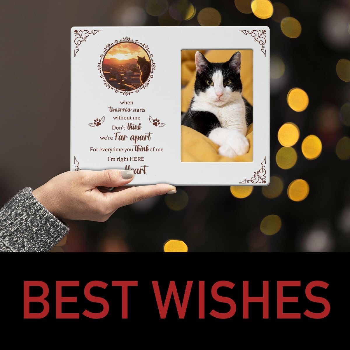 IAXIC Pet Cat Memorial Gifts for Loss of Cat Sympathy Gift Memorial Picture Frame, Pet Memory Picture Frame, Cat Pass Away Frames For Pictures Memorial, Pet Cat Memorial Photo Frame