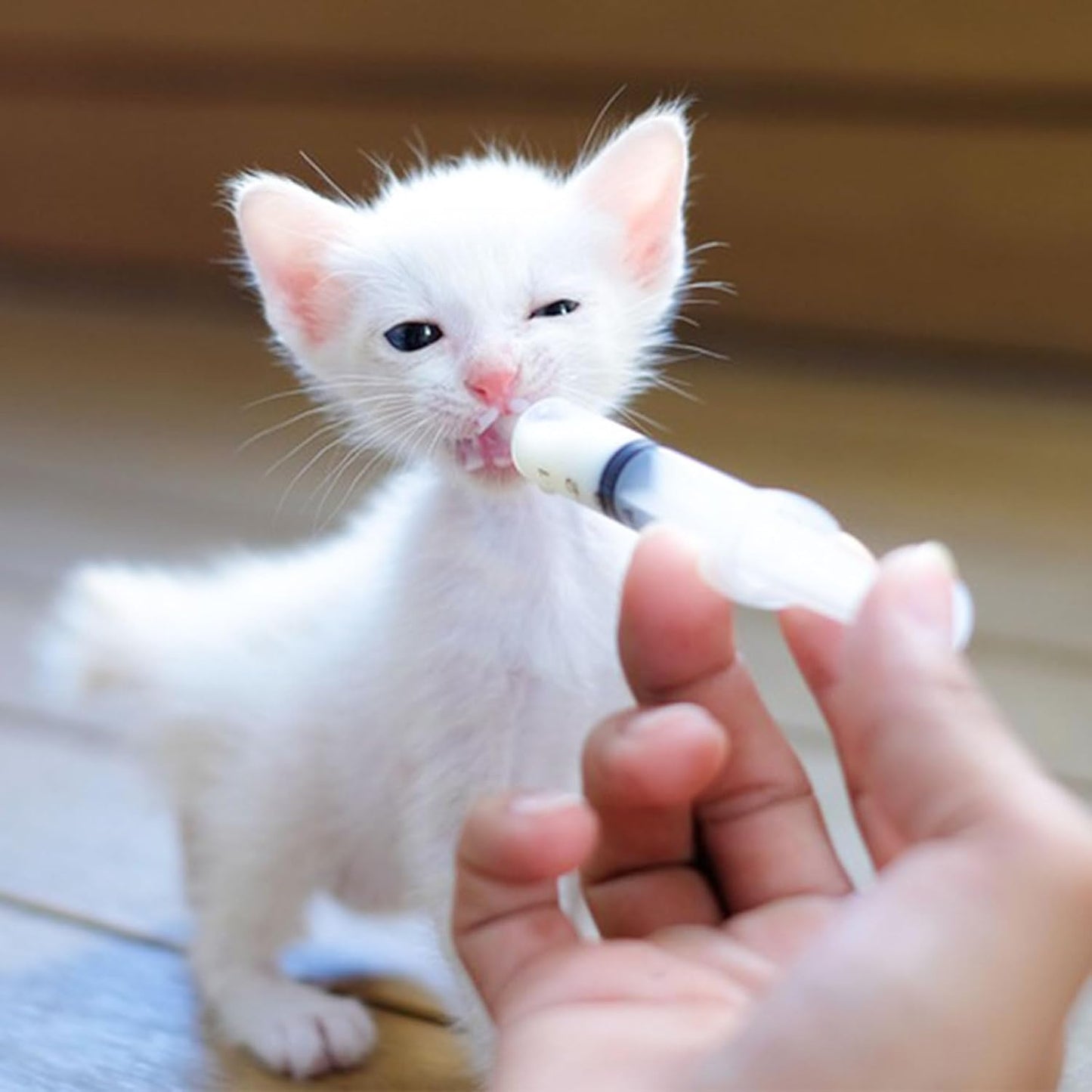 Baby Bird Feeding Syringe Set, Pet Parrot Milk Feeding Syringe with Tubes, Parrot Feeding Tubes Measuring Tools for Feeding Pets Scientific Industrial Labs (20ml)