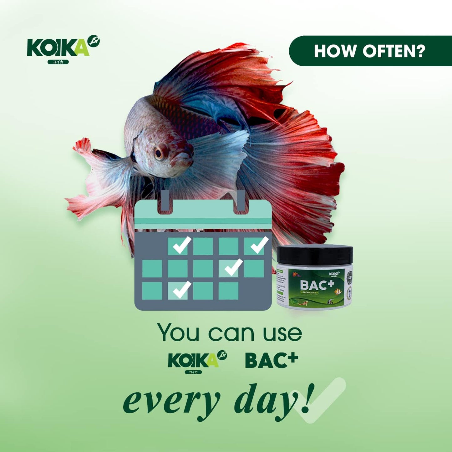 KOIKA BAC+ Powder probiotics, Pleasant Smell, Higher Probiotic, Immunity Boosting, Disease Resistance (BAC+(Powder), 2.82 oz)