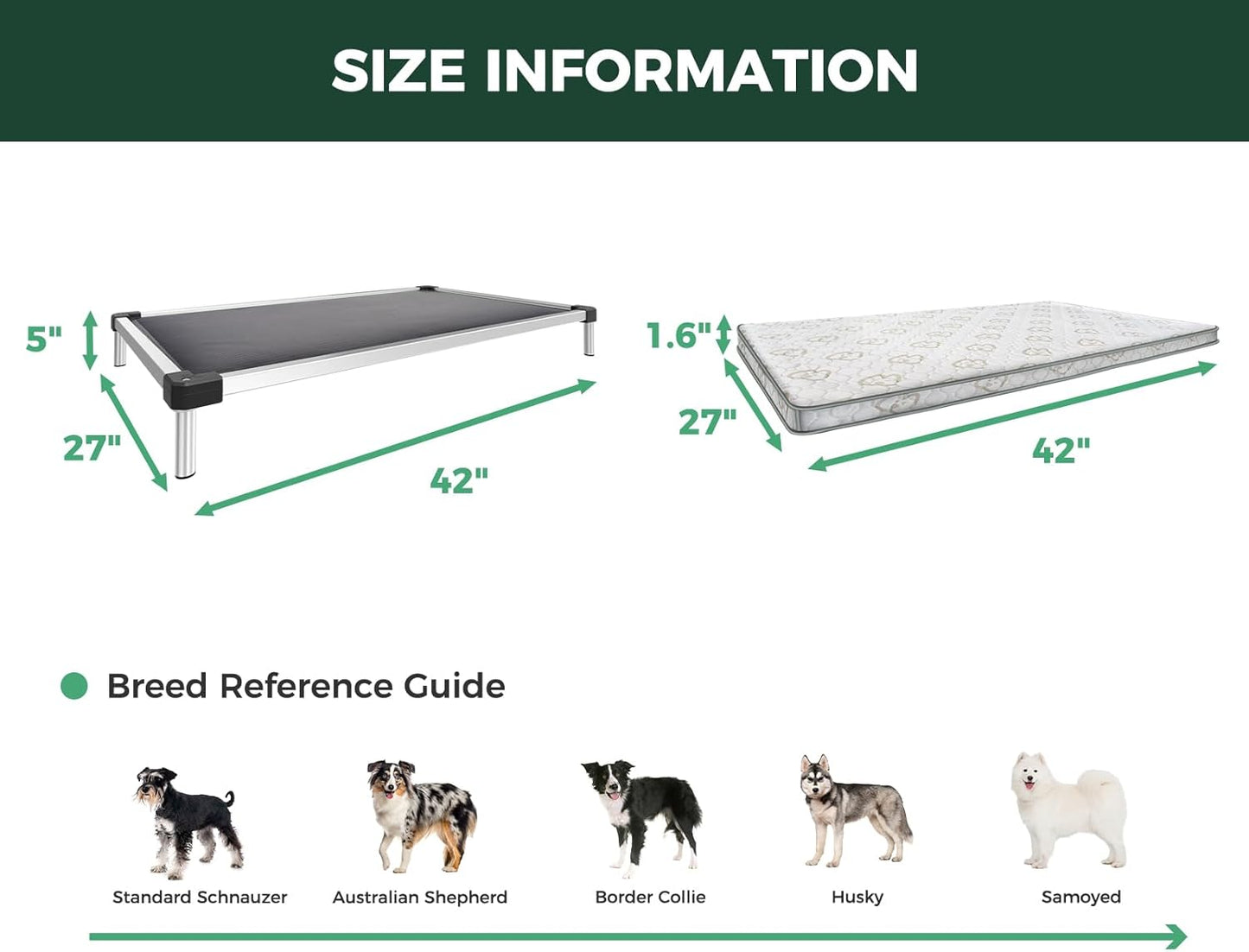 FXW TitanNest Chew-Proof Elevated Dog Bed, Raised Cot for Indoor/Outdoor/Camping Use, Durable & Washable Padded Pet Bed with Exclusive Cover for Medium Dogs, 42.0" L x 27.0" W x 5.0" H, Gray