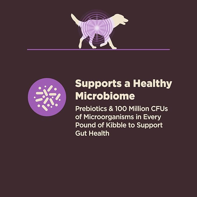 Wellness CORE Digestive Health Senior Dry Dog Food, Wholesome Grains, Natural, Recipe for Dogs with Sensitive Stomachs, Age Advantage Chicken & Brown Rice, (24-Pound Bag)