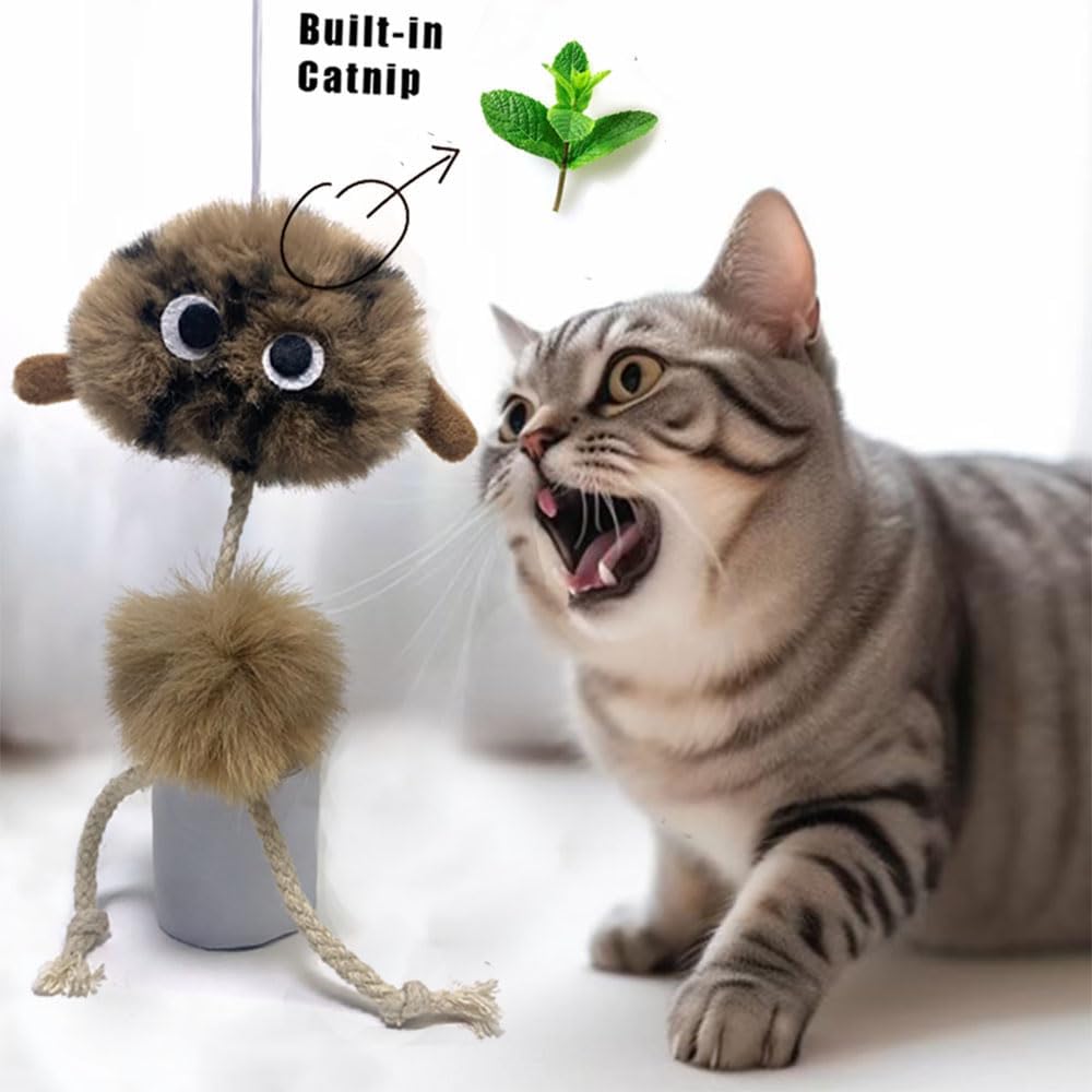 Cat Toys for Indoor Cats,Interactive Door Hanging Cat Toys Attached with Catnip/Feathers/Birds/Worm Toys for Cats/Kitten Toys(3 Pack)