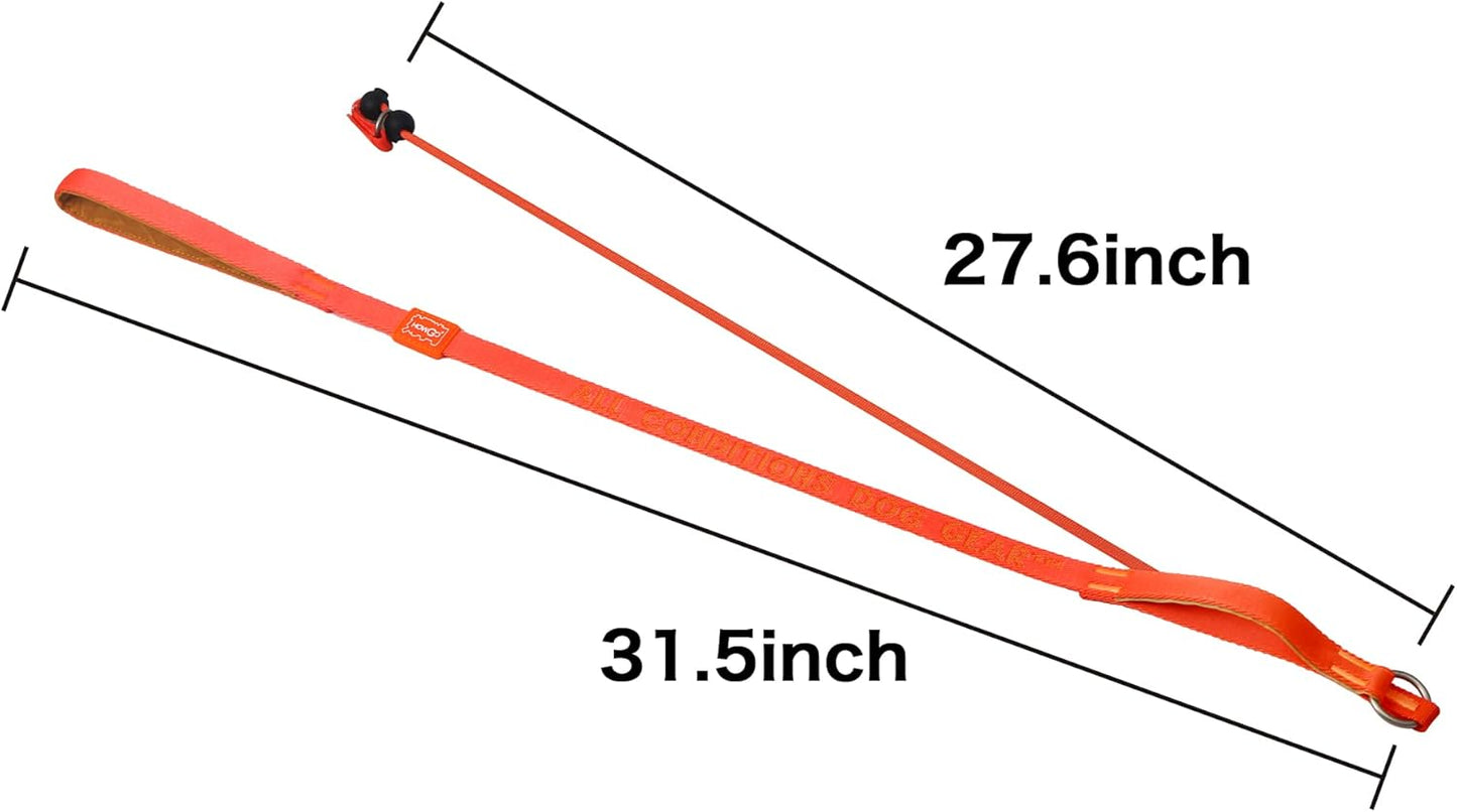 Howgo Dog Slip Lead Dog Leash, Training Lead, No-Pull Slip Leash and Collar, Heavy Duty & Durable Nylon, Padded Handle, for All Breeds (Orange, 5FT)