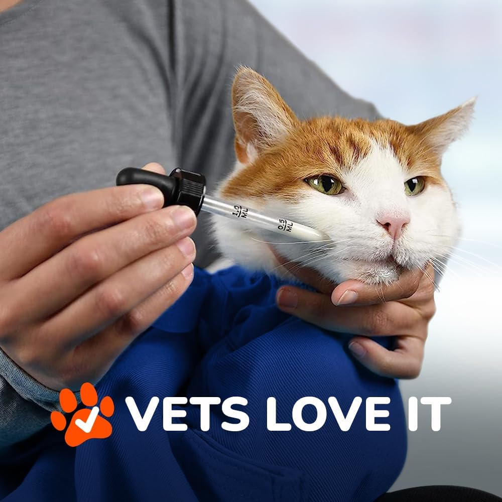 Cat-in-the-Bag Cozy Comfort Carrier - X-Small Cobalt Blue Cat Carrier Soft for Grooming, Vet Visits, Medication Administration, Dental Care, Nail Trimming, and Car Travel