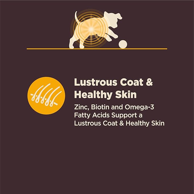 Wellness CORE Digestive Health Puppy Dry Dog Food, Wholesome Grains, Natural, Recipe for Dogs with Sensitive Stomachs, Recipe, (24-Pound Bag)