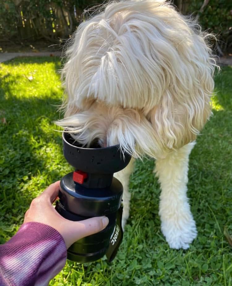 lesotc Dog Water Bottle, Portable Dog Water Dispenser, Leak Proof Dog Travel Water Bottle, Squeeze Pet Water Bottle for Walking On The Go, Dog Hiking Accessories for Outdoor, Hiking, Travel