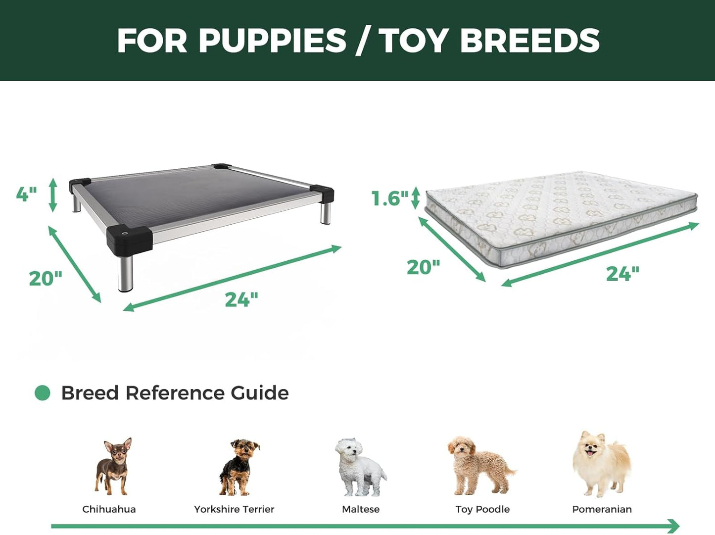 FXW TitanNest Chew-Proof Elevated Dog Bed, Raised Cot for Indoor/Outdoor/Camping Use, Durable & Washable Padded Pet Bed with Exclusive Cover for Toy Dogs, 24.0" L x 20.0" W x 4.1" H, Gray