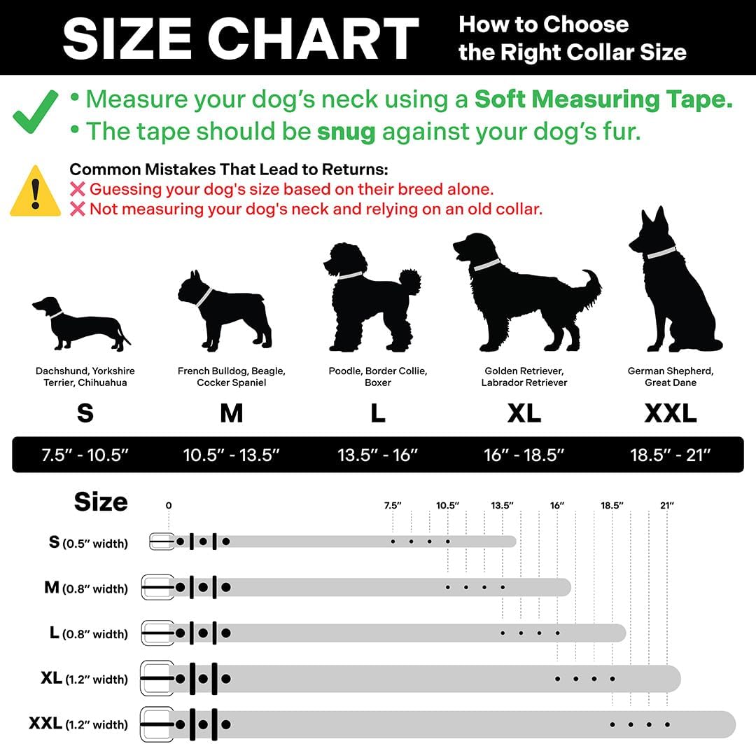 Classic Genuine Leather Dog Collar | Dog Collars for Medium Dogs, Small Dogs, Large Dogs & Extra Large Dog | Wide Dog Collar | Heavy Duty Collar (Black, Medium)