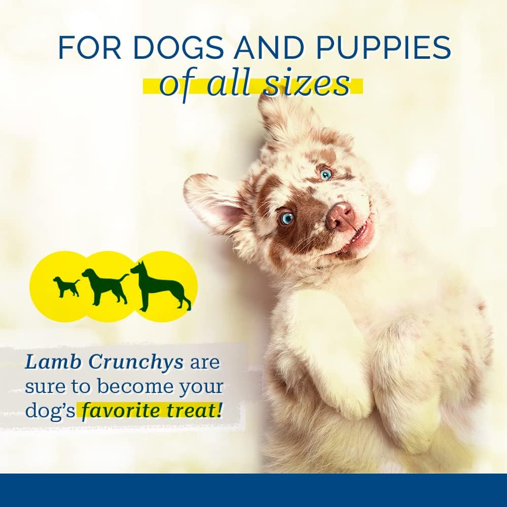 PCI Pet Center Inc. Lamb Crunchys Raw Dehydrated Lamb Lungs Dog Treats, 16 Ounce Pack, LAM-016MC