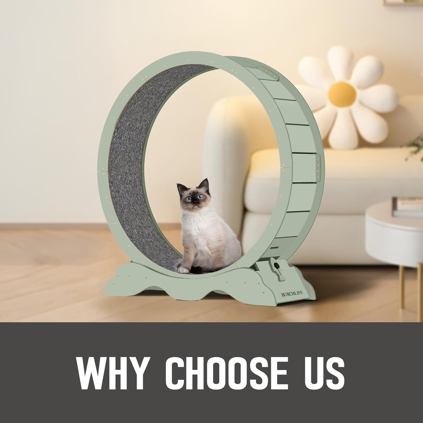 Cat Exercise Wheel 45 Inch Cat Treadmill for Indoor Cats, Running Wheel with Detachable Carpeted Runway, Cats Running Wheel Carpet Suitable for Most Pets Weight Loss and Health (Green, XL)