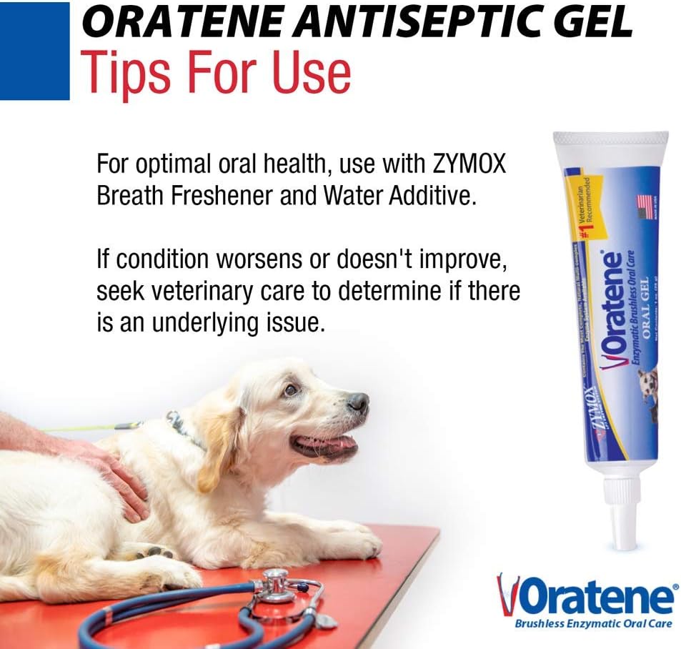 Pet King Brands ZYMOX Oratene Brushless Oral Gel for Dogs and Cats, 1oz