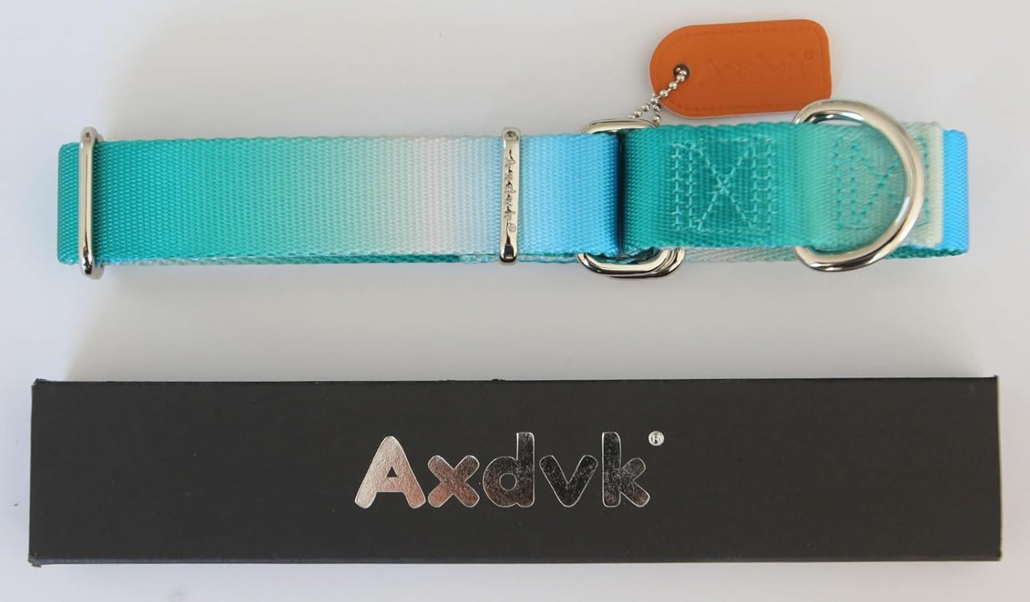 Martingale Dog Collar Colorful Gradient Fashionable - Anti-Escape Soft Durable Pets Collar for Walking Training Outdoor Daily Use -Small,Turquoise Gradient