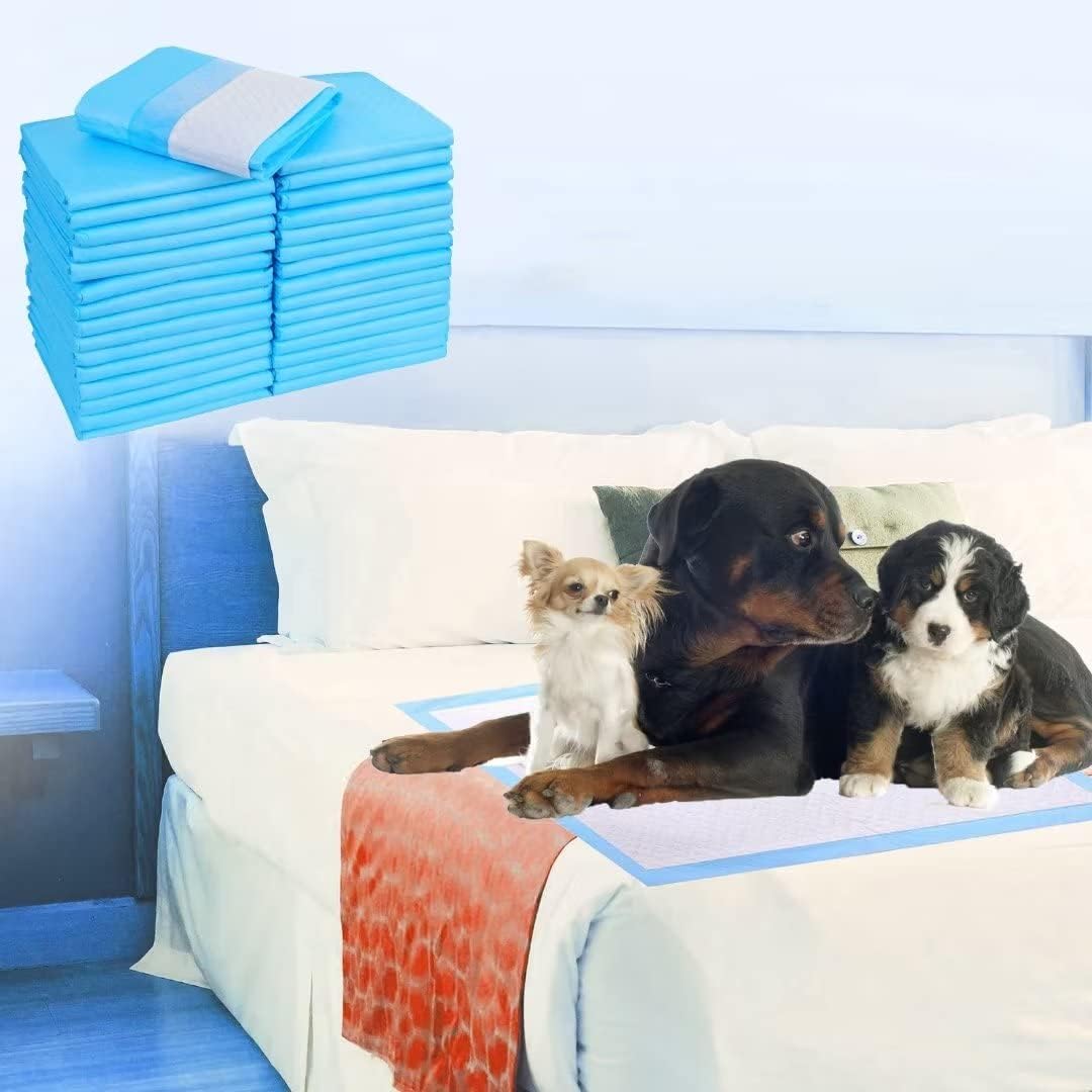 Extra Large Puppy Pads,36"x36" Pee Pads for Dogs,60 Count Training Dog Pee Pads Absorbent & Leak-Proof &Quick Dry,Disposable Pet Potty Pads for House Training Dogs Cats, Rabbits.
