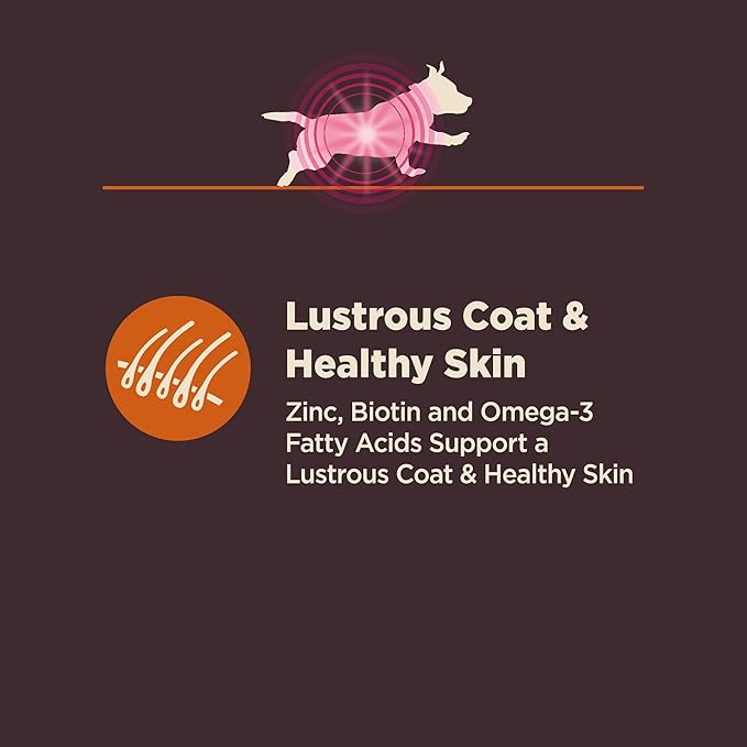 Wellness CORE Digestive Health Dry Dog Food, Small Breed, Wholesome Grains, Natural, Recipe for Dogs with Sensitive Stomachs, Chicken, (4-Pound Bag)