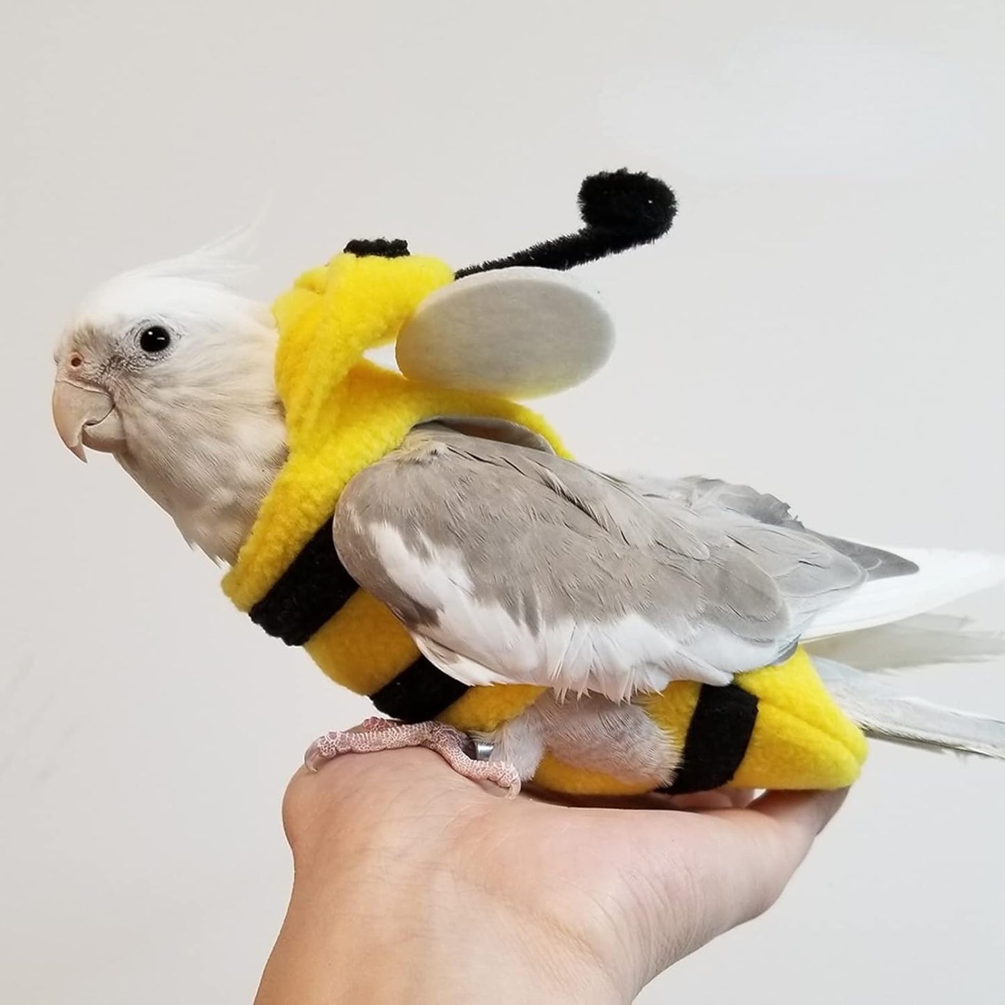 Bird Costume Diaper Flight Suit Bee Shape Hoodie Clothes Cosplay Photo Prop for Parrots Parakeet Cockatiel Sun Conure, Small Animals Apparel (Bee with Diaper, Large), Green