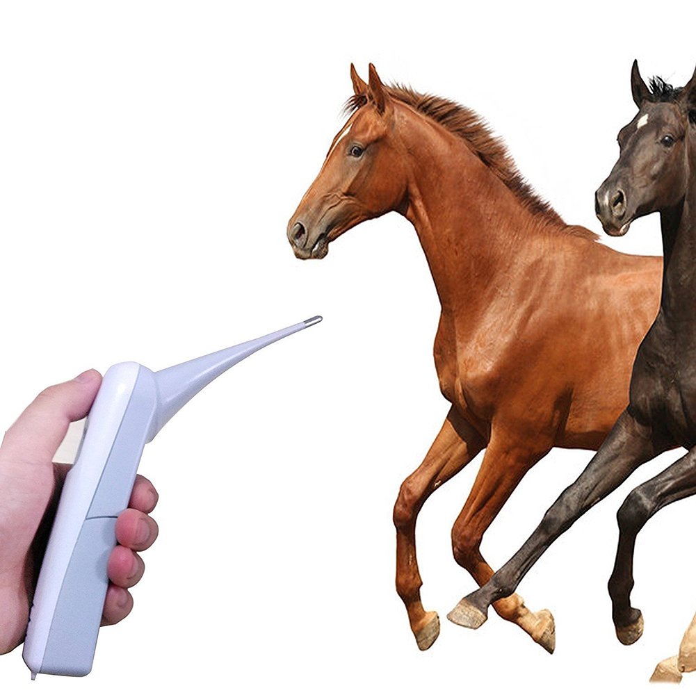 Animal Electronic Ehermometer Pet Thermometer Digital Thermometer is a Fast Rectal Thermometer for Dogs,Horse, Cats, Pigs,Sheep