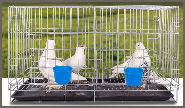 10 Pack Cage Cups Birds Feeders Seed Bowl Chicken Feeding Watering Dish Rabbit Water Food Hanging Wire Cages Box 8oz Coop Cups for Pet Parrot Parakeet Gamefowl Poultry Pigeon