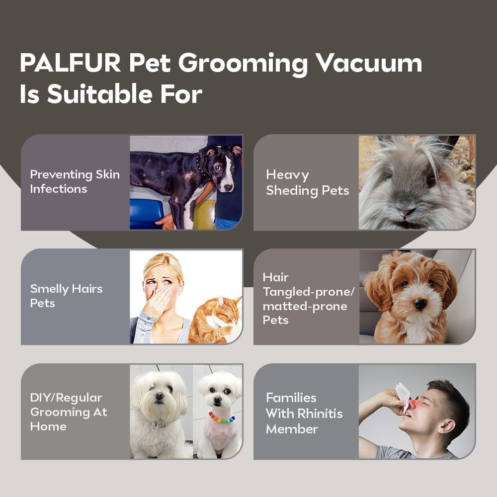 Dog Grooming Kit, Pet Grooming Vacuum Suction 99% Pet Hair with HEPA Technology, Dog Clippers 5-in-1 Pet Grooming Tools, 2L Large Capacity, 60dB Low Noise Orange