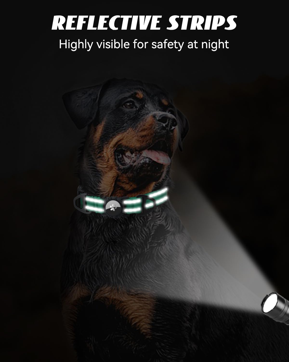 Joytale Airtag Dog Collar, Reflective Pet Collar with Waterproof AirTag Holder, Dual D-Rings, Soft Padded Adjustable for Small Dogs, Teal, S